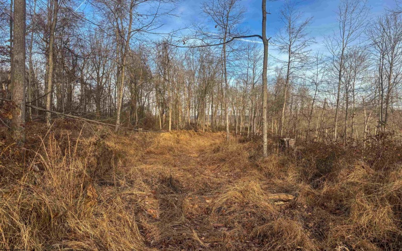 Lot 1 River Run Road, Fairmont, West Virginia 26554, ,Lots/land,For Sale,River Run,10163124