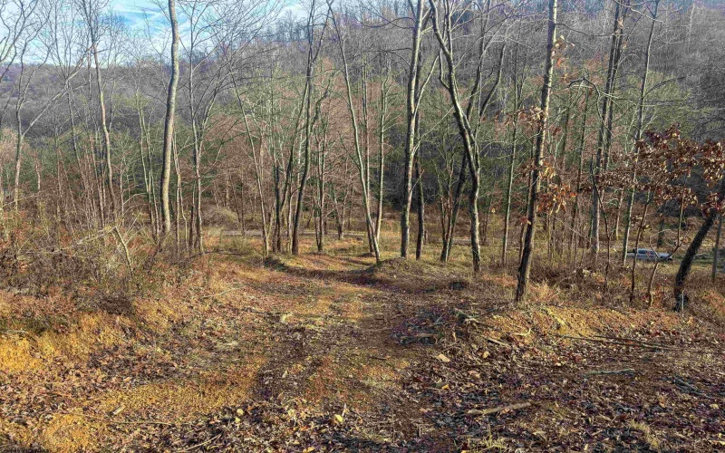 Lot 1 River Run Road, Fairmont, West Virginia 26554, ,Lots/land,For Sale,River Run,10163124