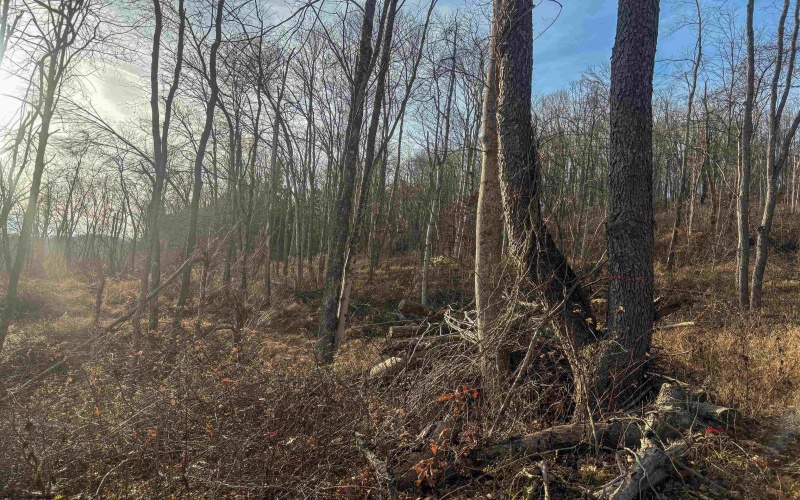 Lot 1 River Run Road, Fairmont, West Virginia 26554, ,Lots/land,For Sale,River Run,10163124