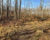 Lot 1 River Run Road, Fairmont, West Virginia 26554, ,Lots/land,For Sale,River Run,10163124