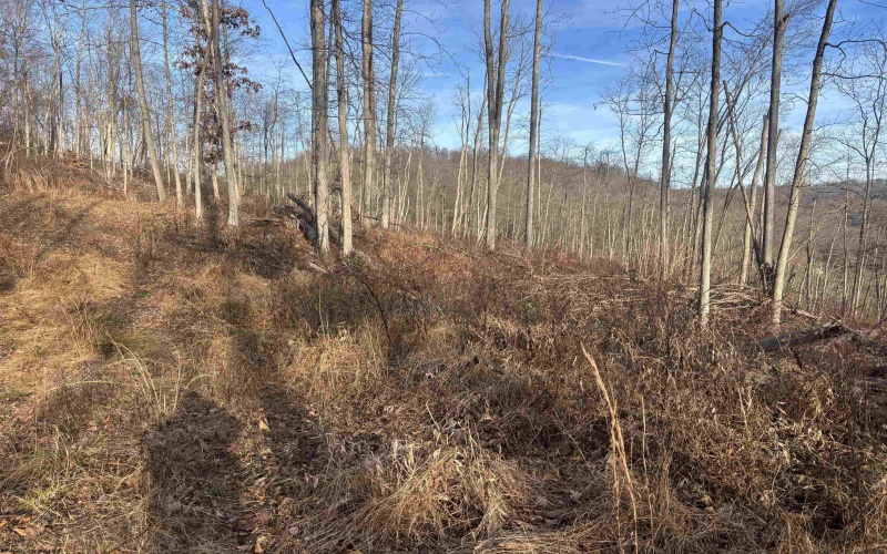Lot 1 River Run Road, Fairmont, West Virginia 26554, ,Lots/land,For Sale,River Run,10163124