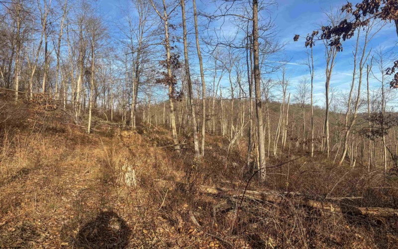 Lot 1 River Run Road, Fairmont, West Virginia 26554, ,Lots/land,For Sale,River Run,10163124