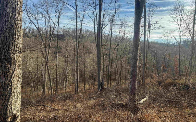 Lot 1 River Run Road, Fairmont, West Virginia 26554, ,Lots/land,For Sale,River Run,10163124