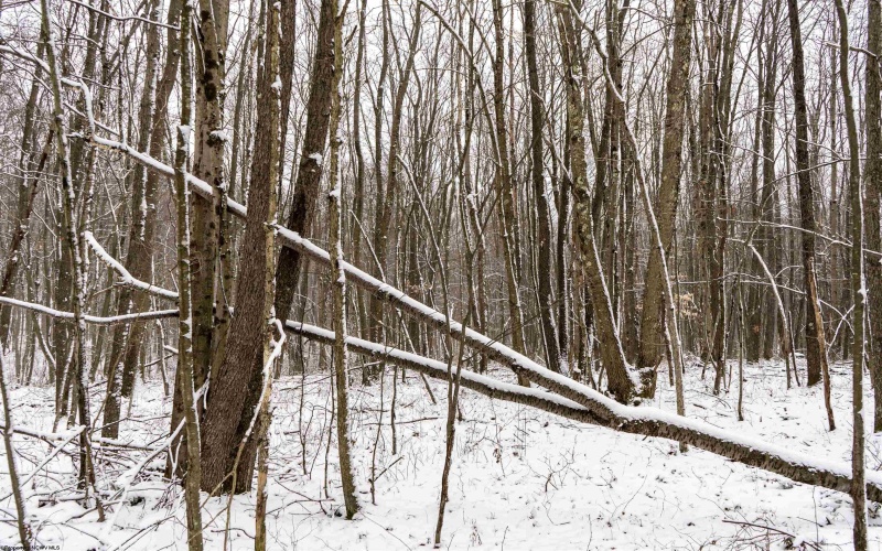 Lot 1 Shady Grove Road, Bruceton Mills, West Virginia 26525, ,Lots/land,For Sale,Shady Grove,10163123 Lot 1 Shady Grove Road, Bruceton Mills, West Virginia 26525, ,Lots/land,For Sale,Shady Grove,10163123