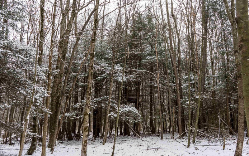 Lot 1 Shady Grove Road, Bruceton Mills, West Virginia 26525, ,Lots/land,For Sale,Shady Grove,10163123 Lot 1 Shady Grove Road, Bruceton Mills, West Virginia 26525, ,Lots/land,For Sale,Shady Grove,10163123