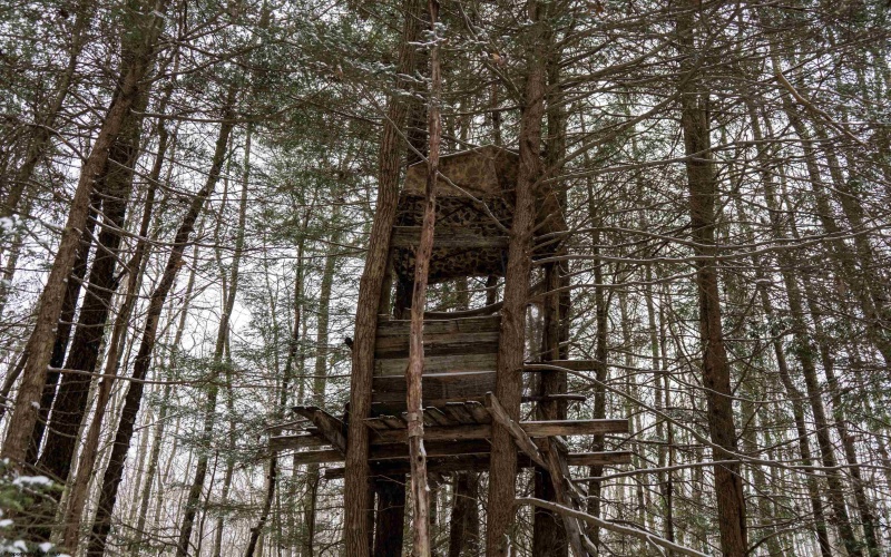 Lot 1 Shady Grove Road, Bruceton Mills, West Virginia 26525, ,Lots/land,For Sale,Shady Grove,10163123 Lot 1 Shady Grove Road, Bruceton Mills, West Virginia 26525, ,Lots/land,For Sale,Shady Grove,10163123