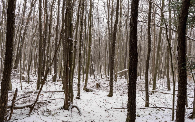 Lot 1 Shady Grove Road, Bruceton Mills, West Virginia 26525, ,Lots/land,For Sale,Shady Grove,10163123 Lot 1 Shady Grove Road, Bruceton Mills, West Virginia 26525, ,Lots/land,For Sale,Shady Grove,10163123