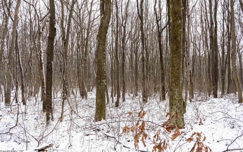 Lot 1 Shady Grove Road, Bruceton Mills, West Virginia 26525, ,Lots/land,For Sale,Shady Grove,10163123 Lot 1 Shady Grove Road, Bruceton Mills, West Virginia 26525, ,Lots/land,For Sale,Shady Grove,10163123