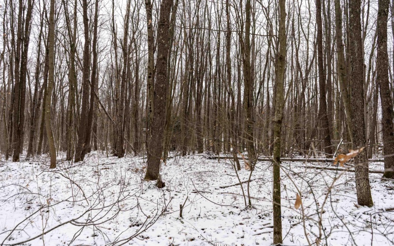 Lot 1 Shady Grove Road, Bruceton Mills, West Virginia 26525, ,Lots/land,For Sale,Shady Grove,10163123 Lot 1 Shady Grove Road, Bruceton Mills, West Virginia 26525, ,Lots/land,For Sale,Shady Grove,10163123