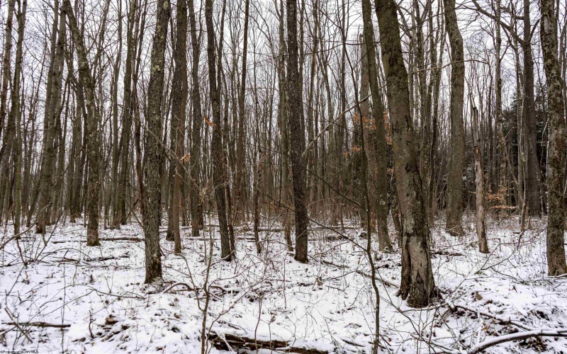 Lot 1 Shady Grove Road, Bruceton Mills, West Virginia 26525, ,Lots/land,For Sale,Shady Grove,10163123 Lot 1 Shady Grove Road, Bruceton Mills, West Virginia 26525, ,Lots/land,For Sale,Shady Grove,10163123