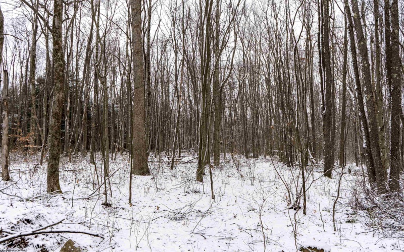 Lot 1 Shady Grove Road, Bruceton Mills, West Virginia 26525, ,Lots/land,For Sale,Shady Grove,10163123 Lot 1 Shady Grove Road, Bruceton Mills, West Virginia 26525, ,Lots/land,For Sale,Shady Grove,10163123