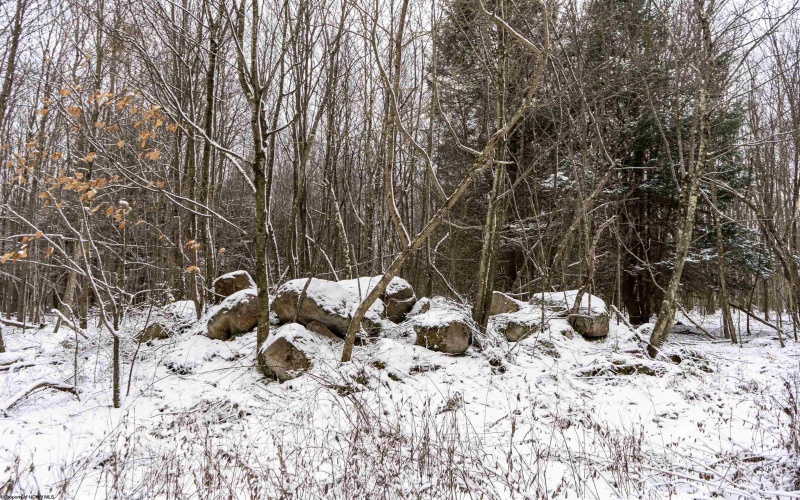 Lot 1 Shady Grove Road, Bruceton Mills, West Virginia 26525, ,Lots/land,For Sale,Shady Grove,10163123 Lot 1 Shady Grove Road, Bruceton Mills, West Virginia 26525, ,Lots/land,For Sale,Shady Grove,10163123