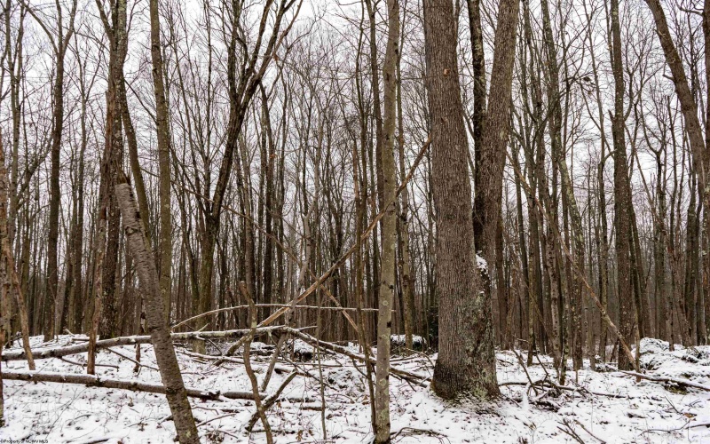 Lot 1 Shady Grove Road, Bruceton Mills, West Virginia 26525, ,Lots/land,For Sale,Shady Grove,10163123 Lot 1 Shady Grove Road, Bruceton Mills, West Virginia 26525, ,Lots/land,For Sale,Shady Grove,10163123