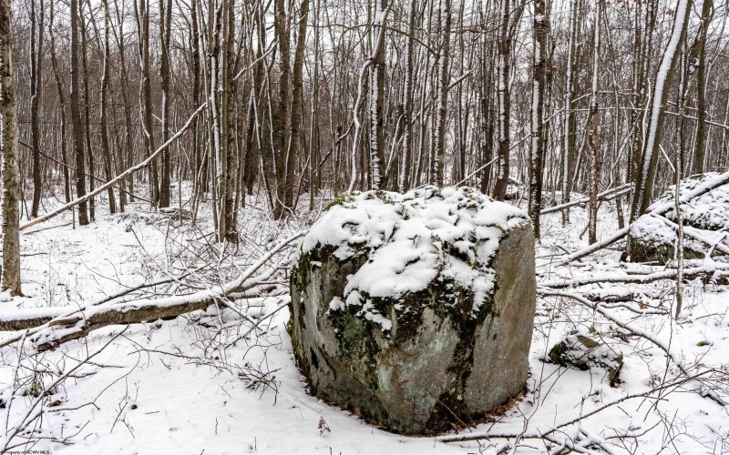 Lot 1 Shady Grove Road, Bruceton Mills, West Virginia 26525, ,Lots/land,For Sale,Shady Grove,10163123 Lot 1 Shady Grove Road, Bruceton Mills, West Virginia 26525, ,Lots/land,For Sale,Shady Grove,10163123