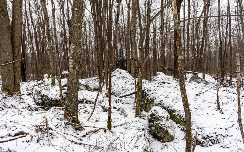 Lot 1 Shady Grove Road, Bruceton Mills, West Virginia 26525, ,Lots/land,For Sale,Shady Grove,10163123 Lot 1 Shady Grove Road, Bruceton Mills, West Virginia 26525, ,Lots/land,For Sale,Shady Grove,10163123