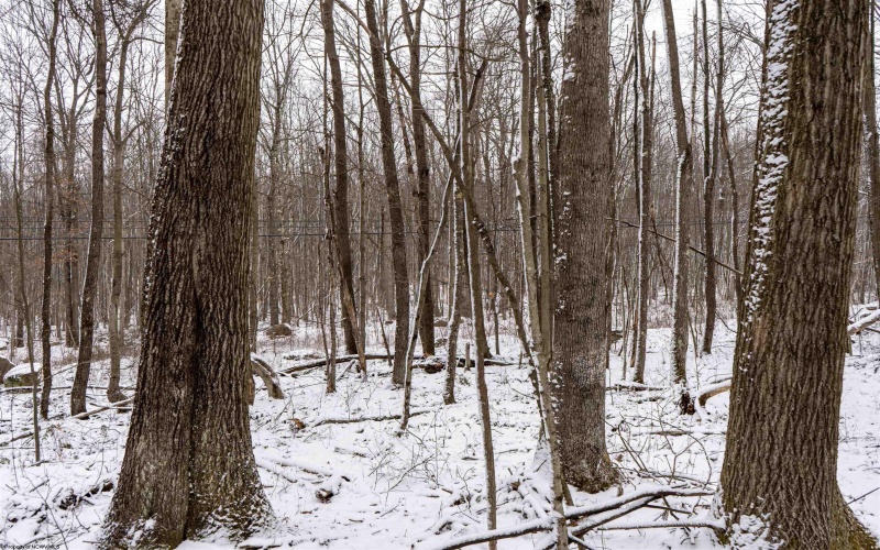 Lot 1 Shady Grove Road, Bruceton Mills, West Virginia 26525, ,Lots/land,For Sale,Shady Grove,10163123 Lot 1 Shady Grove Road, Bruceton Mills, West Virginia 26525, ,Lots/land,For Sale,Shady Grove,10163123