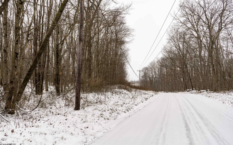 Lot 1 Shady Grove Road, Bruceton Mills, West Virginia 26525, ,Lots/land,For Sale,Shady Grove,10163123 Lot 1 Shady Grove Road, Bruceton Mills, West Virginia 26525, ,Lots/land,For Sale,Shady Grove,10163123