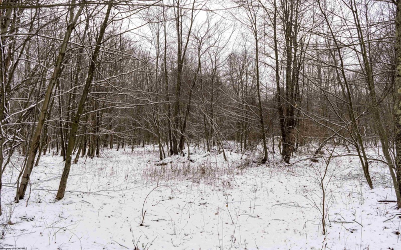 Lot 1 Shady Grove Road, Bruceton Mills, West Virginia 26525, ,Lots/land,For Sale,Shady Grove,10163123 Lot 1 Shady Grove Road, Bruceton Mills, West Virginia 26525, ,Lots/land,For Sale,Shady Grove,10163123