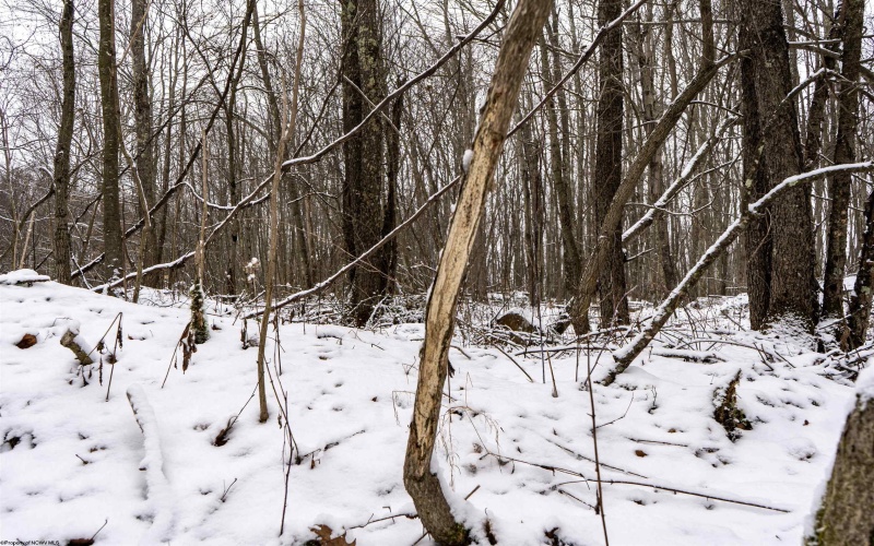 Lot 1 Shady Grove Road, Bruceton Mills, West Virginia 26525, ,Lots/land,For Sale,Shady Grove,10163123 Lot 1 Shady Grove Road, Bruceton Mills, West Virginia 26525, ,Lots/land,For Sale,Shady Grove,10163123