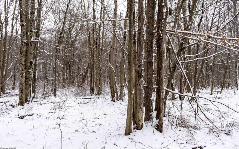 Lot 1 Shady Grove Road, Bruceton Mills, West Virginia 26525, ,Lots/land,For Sale,Shady Grove,10163123 Lot 1 Shady Grove Road, Bruceton Mills, West Virginia 26525, ,Lots/land,For Sale,Shady Grove,10163123