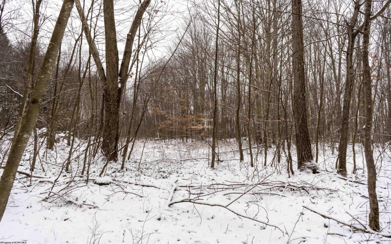 Lot 1 Shady Grove Road, Bruceton Mills, West Virginia 26525, ,Lots/land,For Sale,Shady Grove,10163123 Lot 1 Shady Grove Road, Bruceton Mills, West Virginia 26525, ,Lots/land,For Sale,Shady Grove,10163123