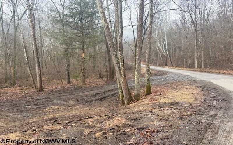 TBD Irontown Road, Independence, West Virginia 26374, ,Lots/land,For Sale,Irontown,10163121