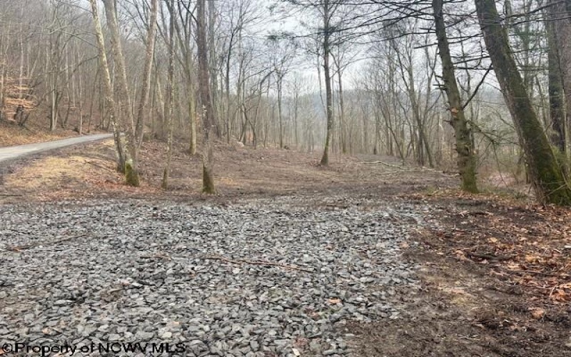 TBD Irontown Road, Independence, West Virginia 26374, ,Lots/land,For Sale,Irontown,10163121