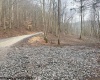 TBD Irontown Road, Independence, West Virginia 26374, ,Lots/land,For Sale,Irontown,10163121
