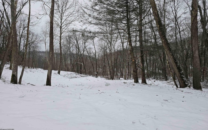 TBD Irontown Road, Independence, West Virginia 26374, ,Lots/land,For Sale,Irontown,10163121