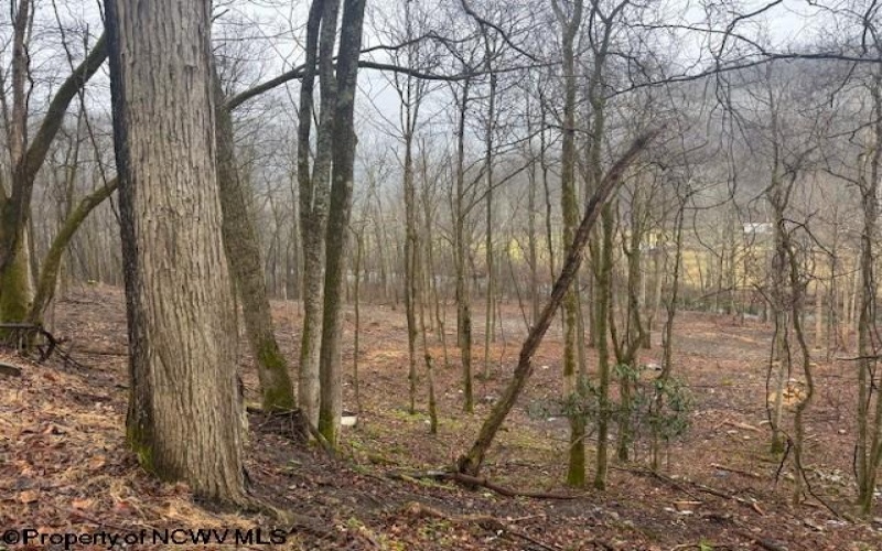 TBD Irontown Road, Independence, West Virginia 26374, ,Lots/land,For Sale,Irontown,10163121