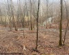 TBD Irontown Road, Independence, West Virginia 26374, ,Lots/land,For Sale,Irontown,10163121