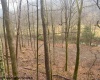 TBD Irontown Road, Independence, West Virginia 26374, ,Lots/land,For Sale,Irontown,10163121