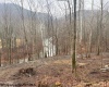 TBD Irontown Road, Independence, West Virginia 26374, ,Lots/land,For Sale,Irontown,10163121