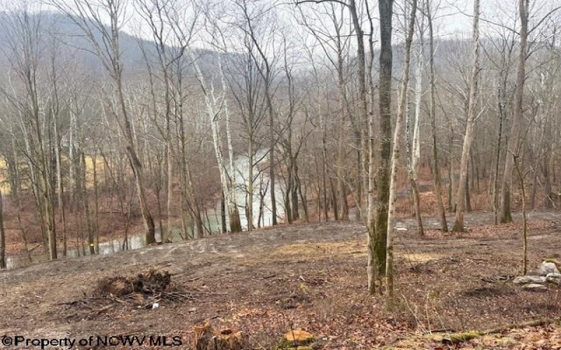 TBD Irontown Road, Independence, West Virginia 26374, ,Lots/land,For Sale,Irontown,10163121