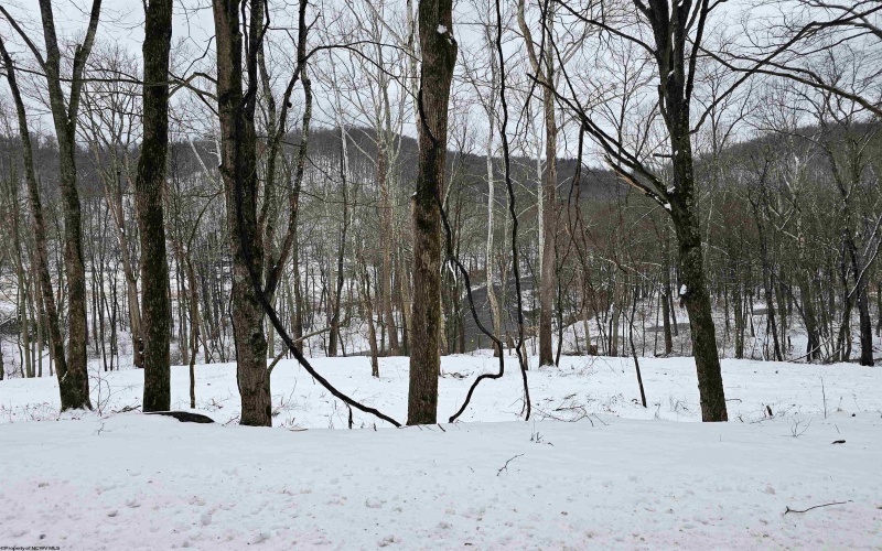 TBD Irontown Road, Independence, West Virginia 26374, ,Lots/land,For Sale,Irontown,10163121