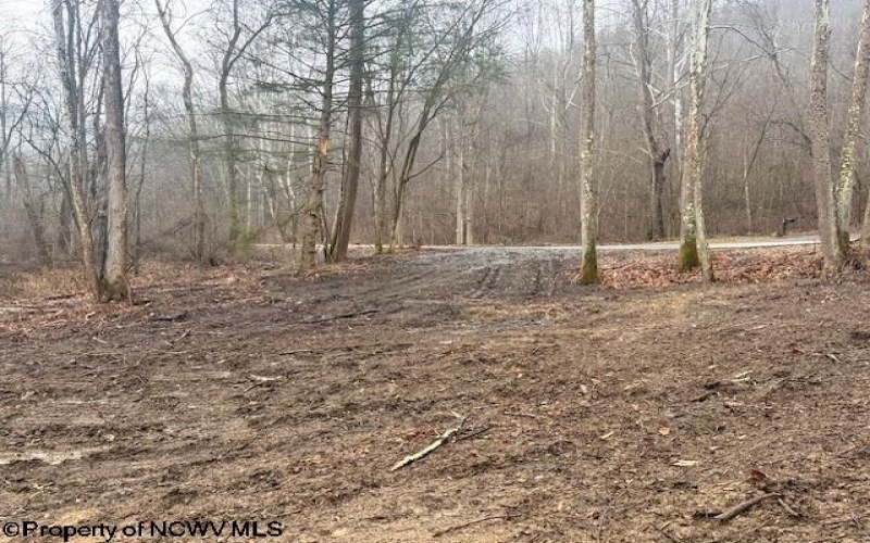 TBD Irontown Road, Independence, West Virginia 26374, ,Lots/land,For Sale,Irontown,10163121