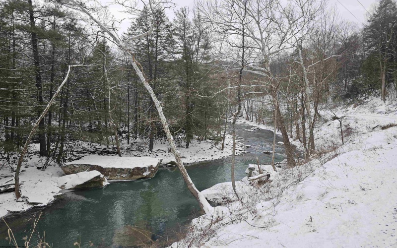 TBD Irontown Road, Independence, West Virginia 26374, ,Lots/land,For Sale,Irontown,10163121