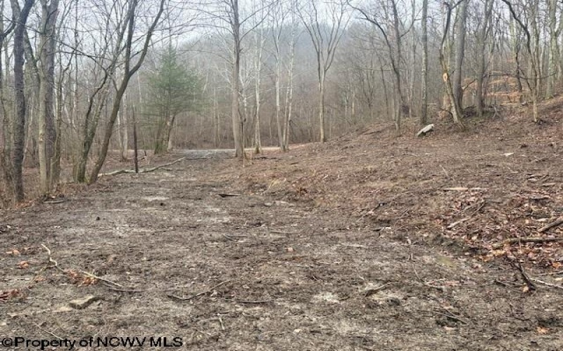 TBD Irontown Road, Independence, West Virginia 26374, ,Lots/land,For Sale,Irontown,10163121