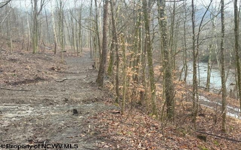 TBD Irontown Road, Independence, West Virginia 26374, ,Lots/land,For Sale,Irontown,10163121