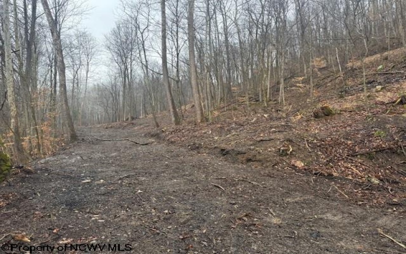 TBD Irontown Road, Independence, West Virginia 26374, ,Lots/land,For Sale,Irontown,10163121