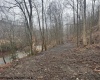 TBD Irontown Road, Independence, West Virginia 26374, ,Lots/land,For Sale,Irontown,10163121