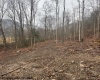 TBD Irontown Road, Independence, West Virginia 26374, ,Lots/land,For Sale,Irontown,10163121