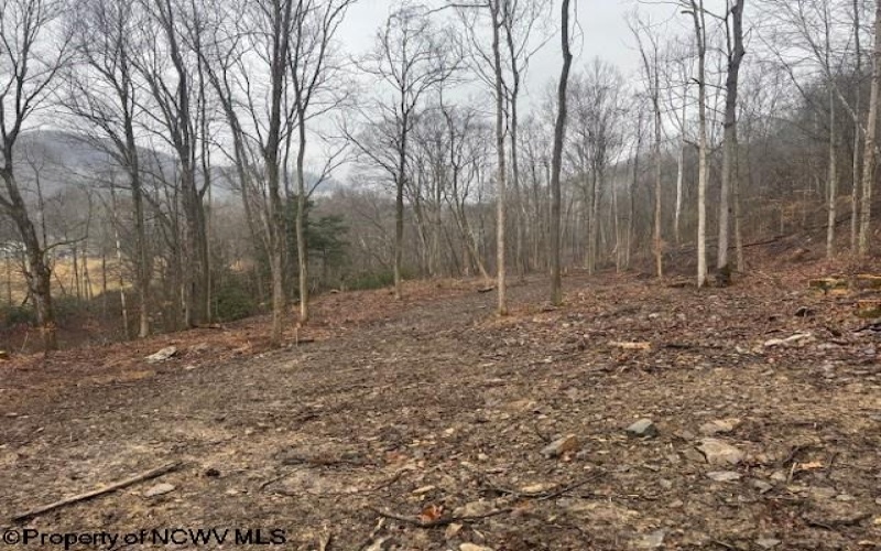 TBD Irontown Road, Independence, West Virginia 26374, ,Lots/land,For Sale,Irontown,10163121
