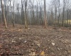 TBD Irontown Road, Independence, West Virginia 26374, ,Lots/land,For Sale,Irontown,10163121