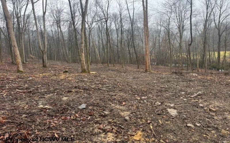 TBD Irontown Road, Independence, West Virginia 26374, ,Lots/land,For Sale,Irontown,10163121