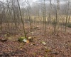 TBD Irontown Road, Independence, West Virginia 26374, ,Lots/land,For Sale,Irontown,10163121