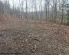 TBD Irontown Road, Independence, West Virginia 26374, ,Lots/land,For Sale,Irontown,10163121