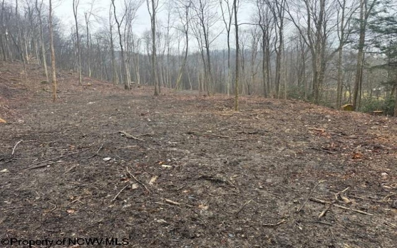 TBD Irontown Road, Independence, West Virginia 26374, ,Lots/land,For Sale,Irontown,10163121