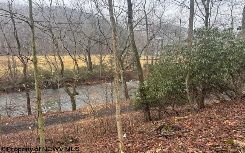 TBD Irontown Road, Independence, West Virginia 26374, ,Lots/land,For Sale,Irontown,10163121