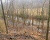 TBD Irontown Road, Independence, West Virginia 26374, ,Lots/land,For Sale,Irontown,10163121